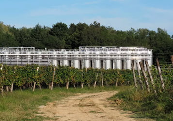 Wine Tanks
