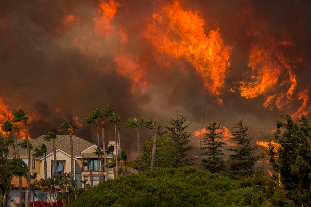 Wild Fire