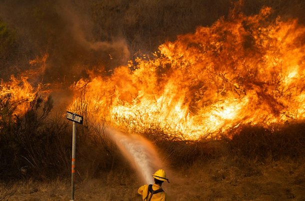 Wild Fire