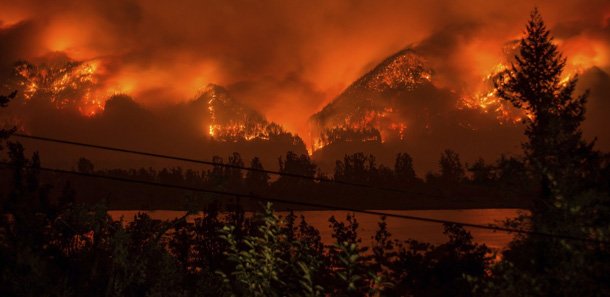 Wild Fire